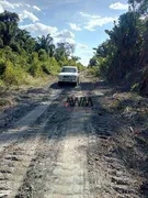 Fazenda / Sítio / Chácara à venda, 58080000m² no Zona Rural, Santana do Araguaia - Foto 7