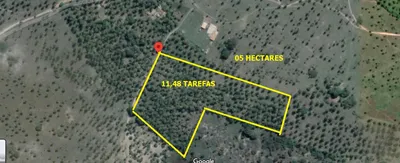 Fazenda / Sítio / Chácara à venda, 50000m² no Zona Rural, Conde - Foto 2