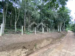 Terreno / Lote / Condomínio à venda no Vale das Videiras, Petrópolis - Foto 4