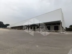 Conjunto Comercial / Sala para alugar, 4002m² no , Flores da Cunha - Foto 4