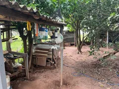 Fazenda / Sítio / Chácara com 3 Quartos à venda, 180m² no , Guapiaçu - Foto 28
