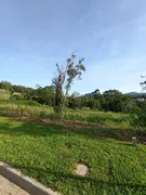 Terreno / Lote / Condomínio à venda, 364m² no Varzea Grande, Gramado - Foto 12