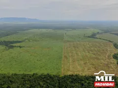 Fazenda / Sítio / Chácara à venda no Zona Rural, Santana do Araguaia - Foto 2