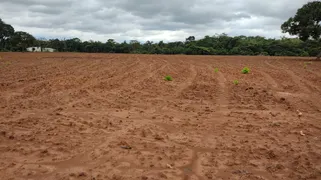 Fazenda / Sítio / Chácara à venda no Zona Rural, Rosário Oeste - Foto 61