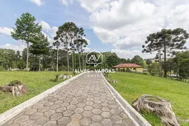 Fazenda / Sítio / Chácara com 4 Quartos à venda, 300m² no Jardim da Colina, Campina Grande do Sul - Foto 4