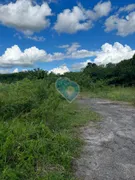 Terreno / Lote Comercial à venda, 11000m² no Várzea, Santa Cruz do Sul - Foto 5