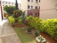 Apartamento com 2 Quartos à venda, 50m² no Conjunto Habitacional Campinas F, Campinas - Foto 12