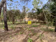 Terreno / Lote / Condomínio à venda, 6000m² no Torreoes, Juiz de Fora - Foto 15