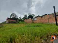 Terreno / Lote / Condomínio à venda, 462m² no Órfãs, Ponta Grossa - Foto 3