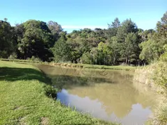 Casa Comercial à venda, 45824m² no Areia Branca dos Assis, Mandirituba - Foto 33