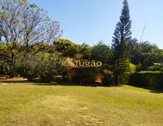 Fazenda / Sítio / Chácara com 6 Quartos à venda, 390m² no Rural, Uchoa - Foto 18