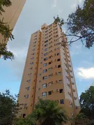 Apartamento com 3 Quartos à venda, 60m² no Jardim São Paulo, Recife - Foto 1