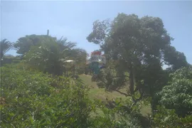 Fazenda / Sítio / Chácara com 4 Quartos à venda, 380m² no Santa Cecilia, Barbacena - Foto 36