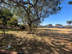 Fazenda / Sítio / Chácara com 2 Quartos à venda, 11600m² no Parque Cristo Redentor, Trindade - Foto 11