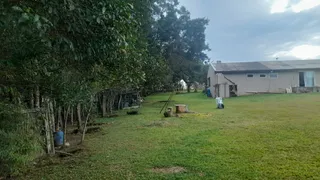 Fazenda / Sítio / Chácara com 3 Quartos à venda, 5500m² no Campina do Taquaral, São José dos Pinhais - Foto 2