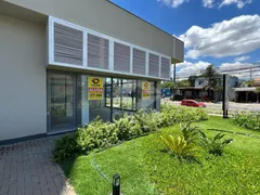 Loja / Salão / Ponto Comercial para alugar, 203m² no Vila Ipiranga, Porto Alegre - Foto 5