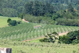 Fazenda / Sítio / Chácara à venda, 57800m² no Centro, Morungaba - Foto 4