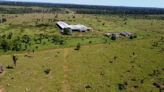 Fazenda / Sítio / Chácara com 5 Quartos à venda, 94000m² no , Rondolândia - Foto 9