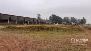 Fazenda / Sítio / Chácara à venda, 60500m² no , Mandaguaçu - Foto 9