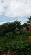 Terreno / Lote / Condomínio à venda, 297m² no Vila Albertina, Ribeirão Preto - Foto 7