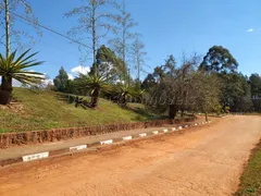 Terreno / Lote / Condomínio à venda, 5000m² no Curral, Ibiúna - Foto 10