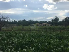 Fazenda / Sítio / Chácara com 3 Quartos à venda, 24200m² no Parque Itaipu, São Carlos - Foto 21