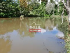 Fazenda / Sítio / Chácara com 4 Quartos à venda, 242000m² no Zona Rural, Bonfinópolis - Foto 4