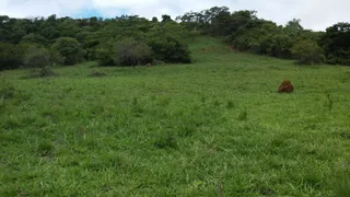 Fazenda / Sítio / Chácara à venda, 720000m² no Zona Rural, Oliveira - Foto 18