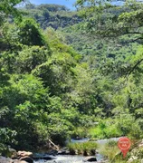 Fazenda / Sítio / Chácara com 4 Quartos à venda, 500m² no Zona Rural, Taquaraçu de Minas - Foto 19