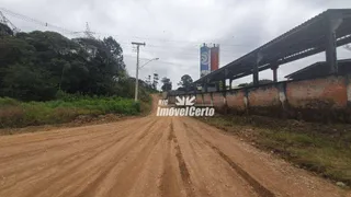 Terreno / Lote Comercial à venda, 128000m² no Thomaz Coelho, Araucária - Foto 4