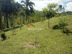 Fazenda / Sítio / Chácara com 2 Quartos à venda, 3890m² no Centro, Anitápolis - Foto 4