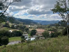 Terreno / Lote / Condomínio à venda, 13000m² no Vale dos Vinhedos, Bento Gonçalves - Foto 46