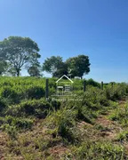 Fazenda / Sítio / Chácara à venda, 1120000m² no Icatu, Querência do Norte - Foto 7