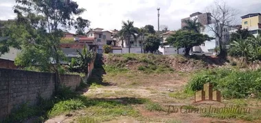 Terreno / Lote / Condomínio à venda, 2160m² no Inga, Betim - Foto 4