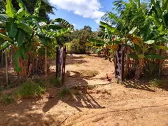 Fazenda / Sítio / Chácara com 3 Quartos à venda, 1000m² no Esmeraldas, Esmeraldas - Foto 1
