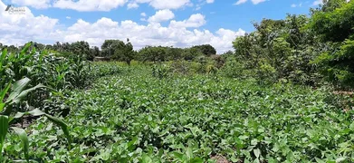 Fazenda / Sítio / Chácara com 3 Quartos à venda, 4500m² no Area Rural do Paranoa, Brasília - Foto 30