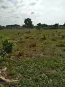 Fazenda / Sítio / Chácara à venda no Zona Rural, Heitoraí - Foto 12