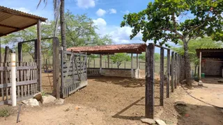 Fazenda / Sítio / Chácara com 4 Quartos à venda, 250m² no , Glória do Goitá - Foto 24