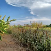 Fazenda / Sítio / Chácara com 2 Quartos à venda, 90000m² no Area Rural do Paranoa, Brasília - Foto 48