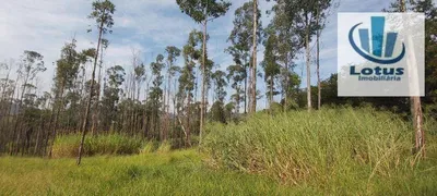 Fazenda / Sítio / Chácara à venda, 32600m² no Centro Tres Pontes, Amparo - Foto 5