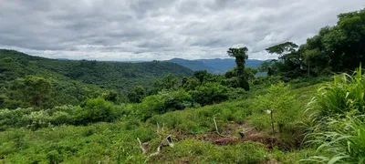 Terreno / Lote / Condomínio à venda, 20000m² no , Linha Nova - Foto 3