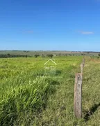 Fazenda / Sítio / Chácara à venda, 1120000m² no Icatu, Querência do Norte - Foto 22