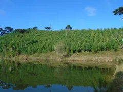 Fazenda / Sítio / Chácara com 2 Quartos à venda, 2213440m² no , Tunas do Paraná - Foto 16