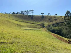 Terreno / Lote / Condomínio à venda, 20000m² no Zona Rural, Santo Antônio do Pinhal - Foto 13