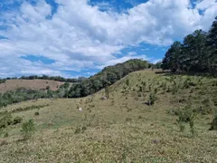 Terreno / Lote Comercial à venda, 20000m² no São Francisco Xavier, São José dos Campos - Foto 3