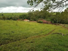 Fazenda / Sítio / Chácara com 2 Quartos à venda, 96800m² no Zona Rural, Altinópolis - Foto 3