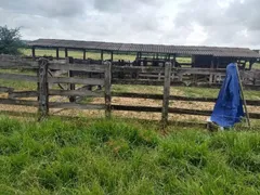 Fazenda / Sítio / Chácara com 7 Quartos à venda no , Vila Propício - Foto 7