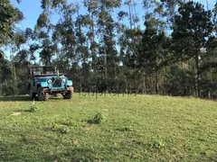 Fazenda / Sítio / Chácara à venda, 350000m² no Gaspar Grande, Gaspar - Foto 2