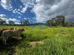 Fazenda / Sítio / Chácara com 3 Quartos à venda, 300m² no Zona Rural, São Sebastião do Oeste - Foto 20