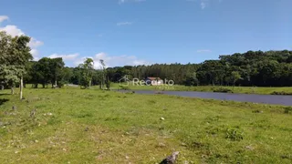 Fazenda / Sítio / Chácara à venda, 620000m² no Mato Queimado, Gramado - Foto 9